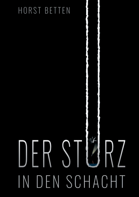 Cover: Der Sturz in den Schacht